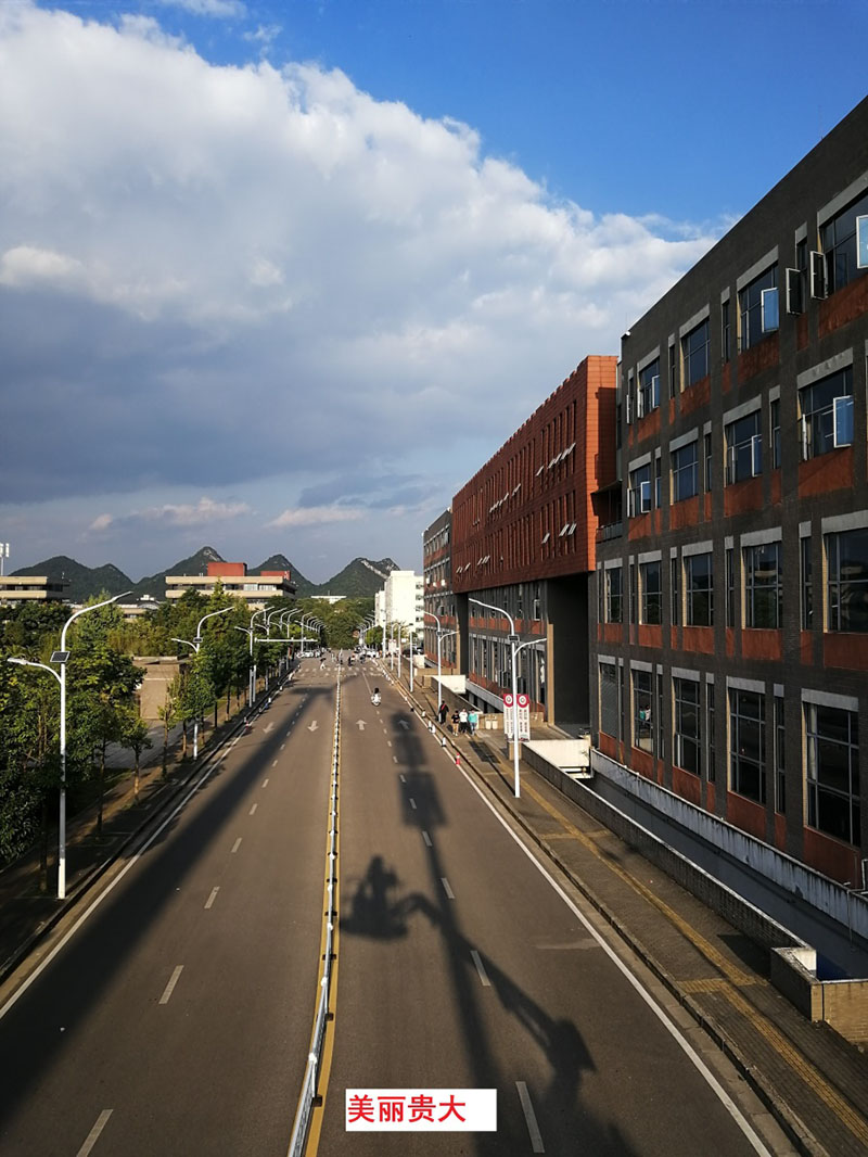 貴州某高校為本校區(qū)內(nèi)600多盞路燈更換LED燈頭及加裝太陽能LORA調(diào)光控制模塊，達(dá)到了節(jié)能和智能控制的目的。(圖1)